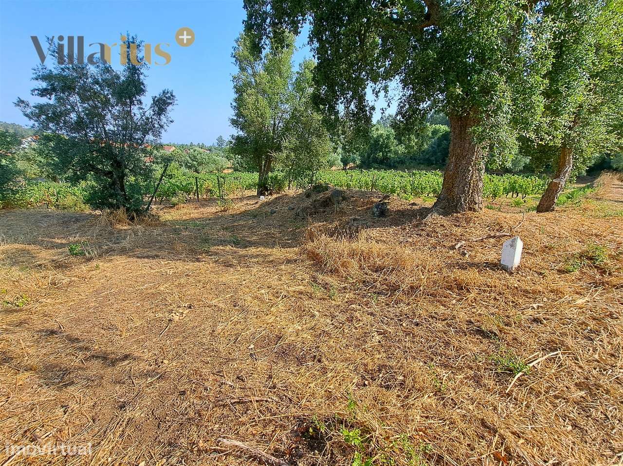 Terreno 11.513 m² com Projeto Aprovado — Tomar-11