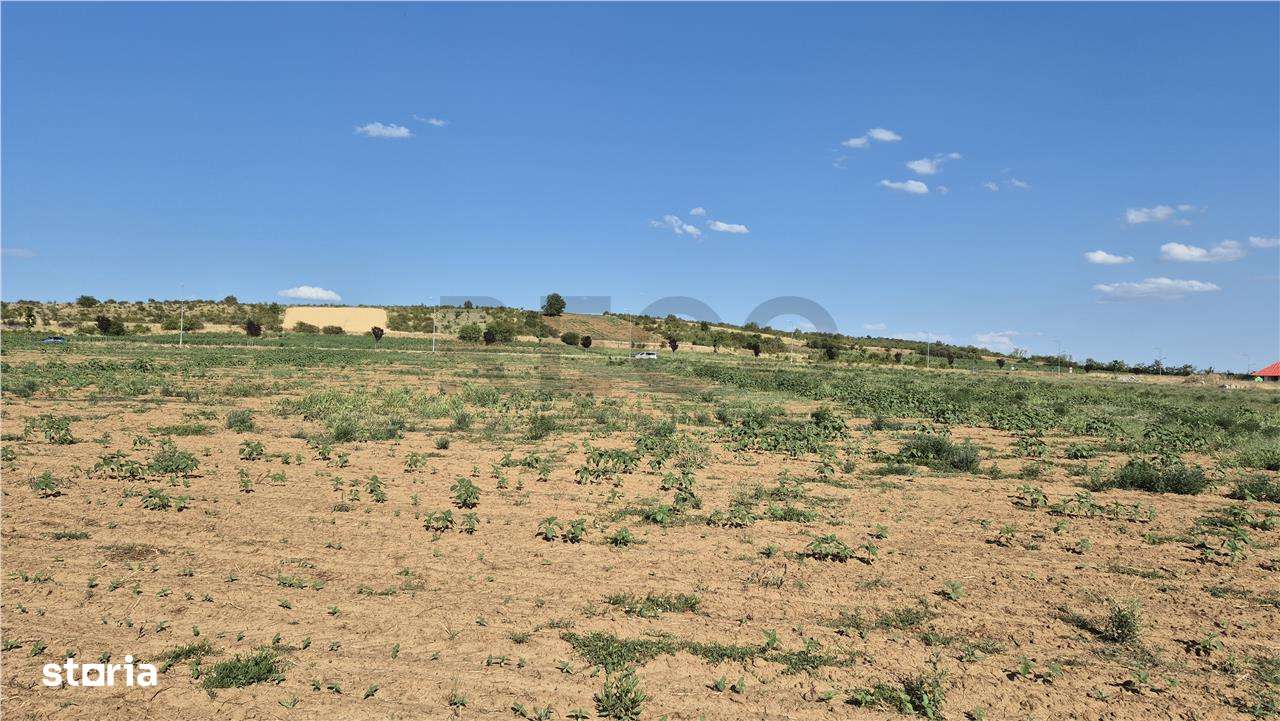 Reco Teren Extravilan Episcopia aproape de Remarkt - Imagine principală: 4/5