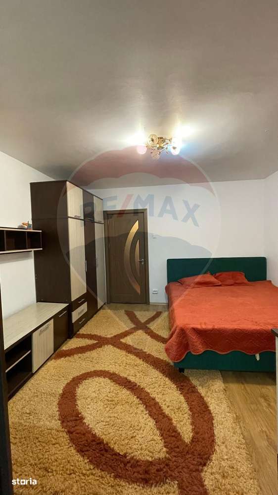 Apartament cu 1 camere de închiriat în zona Brazda lui Novac - Imagine principală: 1/10