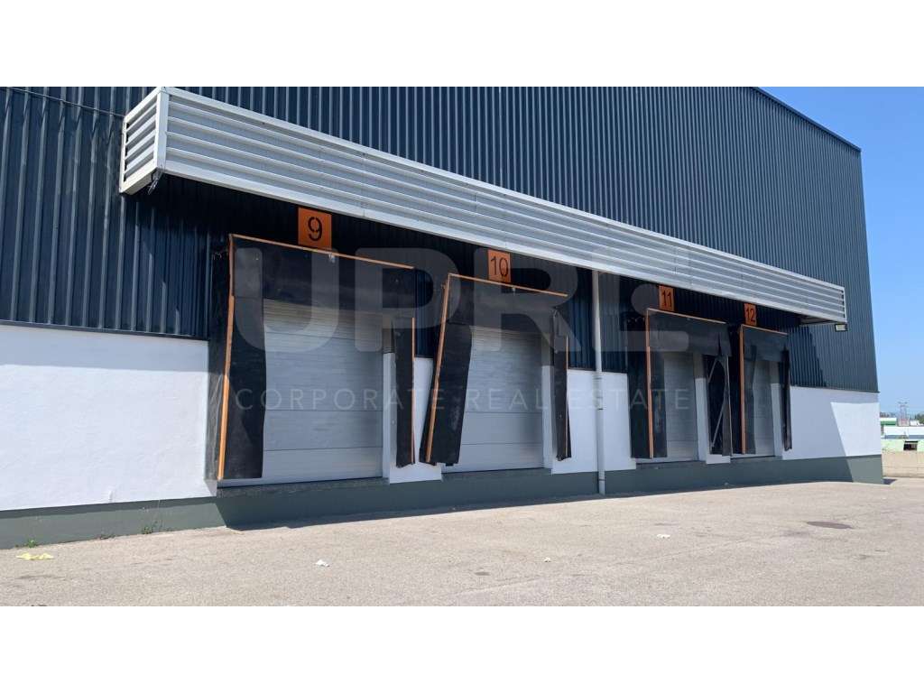 ARRENDA | Armazém Logístico | Oiã - Grande imagem: 4/22