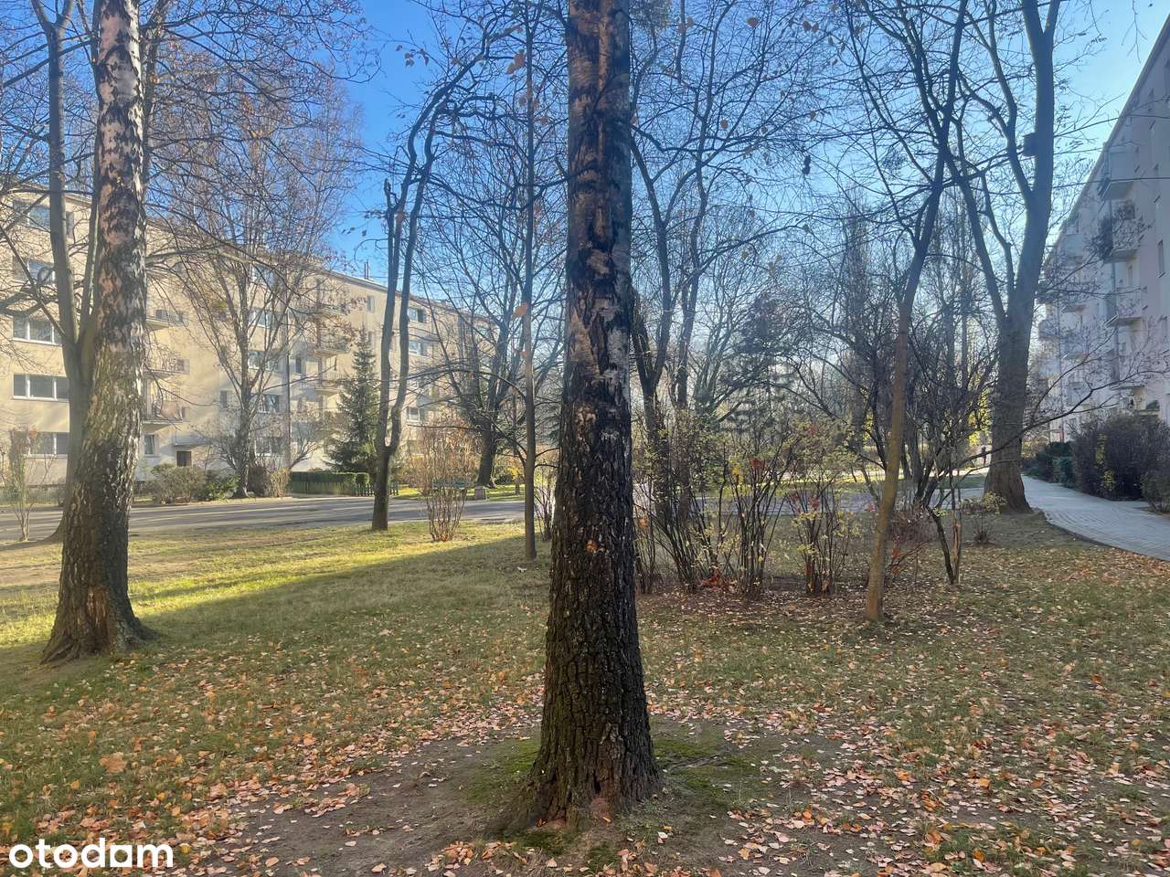 Sprzedam mieszkanie 2-pok-37,5m-do remontu, IVp, balkon, widna kuchnia-1