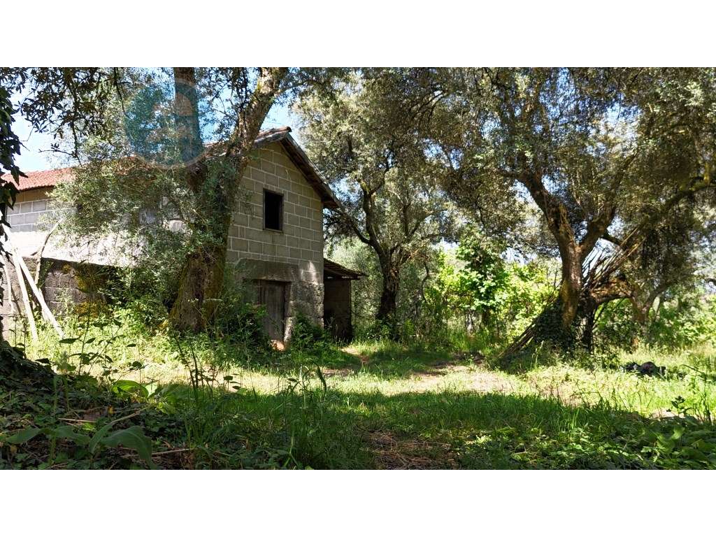 Quinta à venda, localizada no Lugar de Água Redonda, Cabeceiras de ...-41