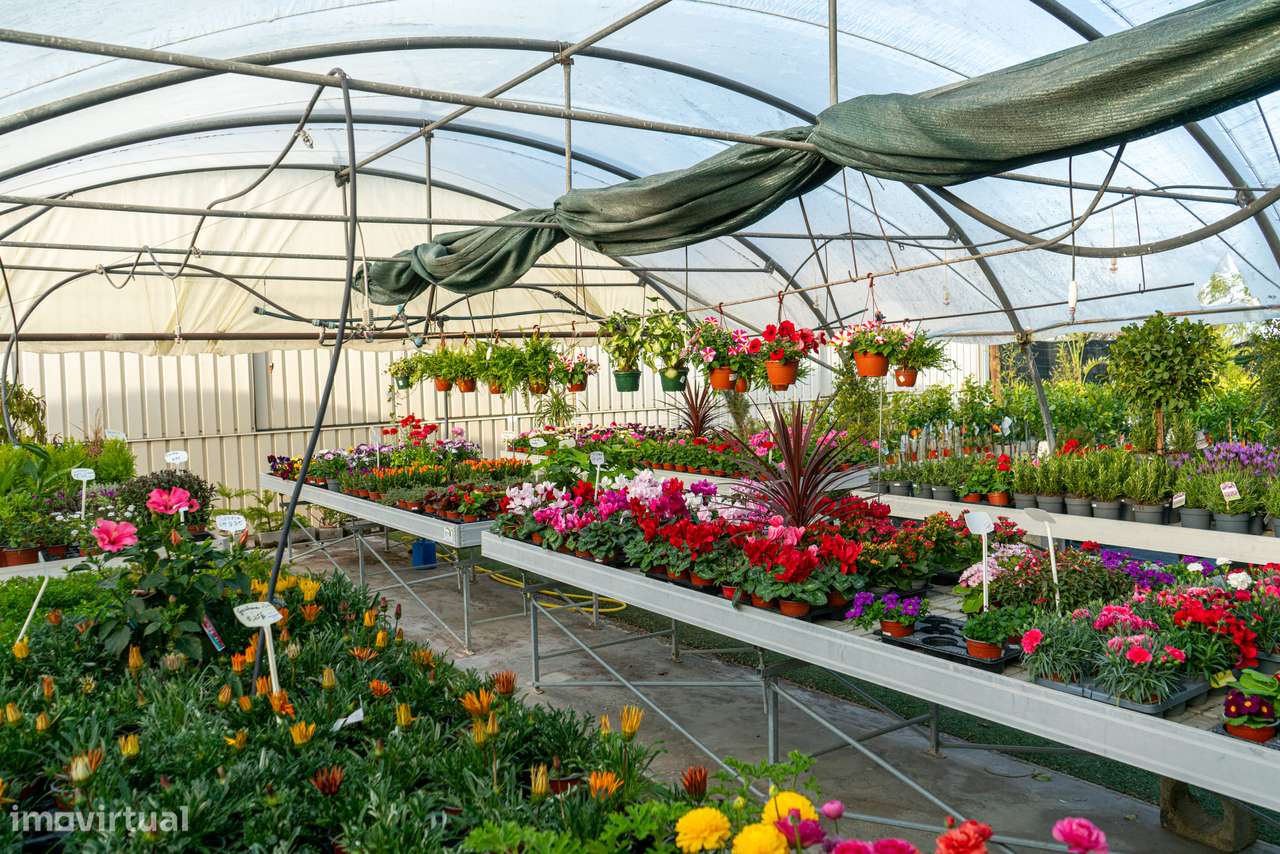 Trespasse de Centro de Jardinagem – Negócio Completo e Equipado - Beja-10