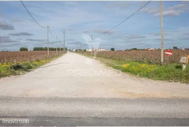 Terreno Lau Palmela - Grande imagem: 4/5