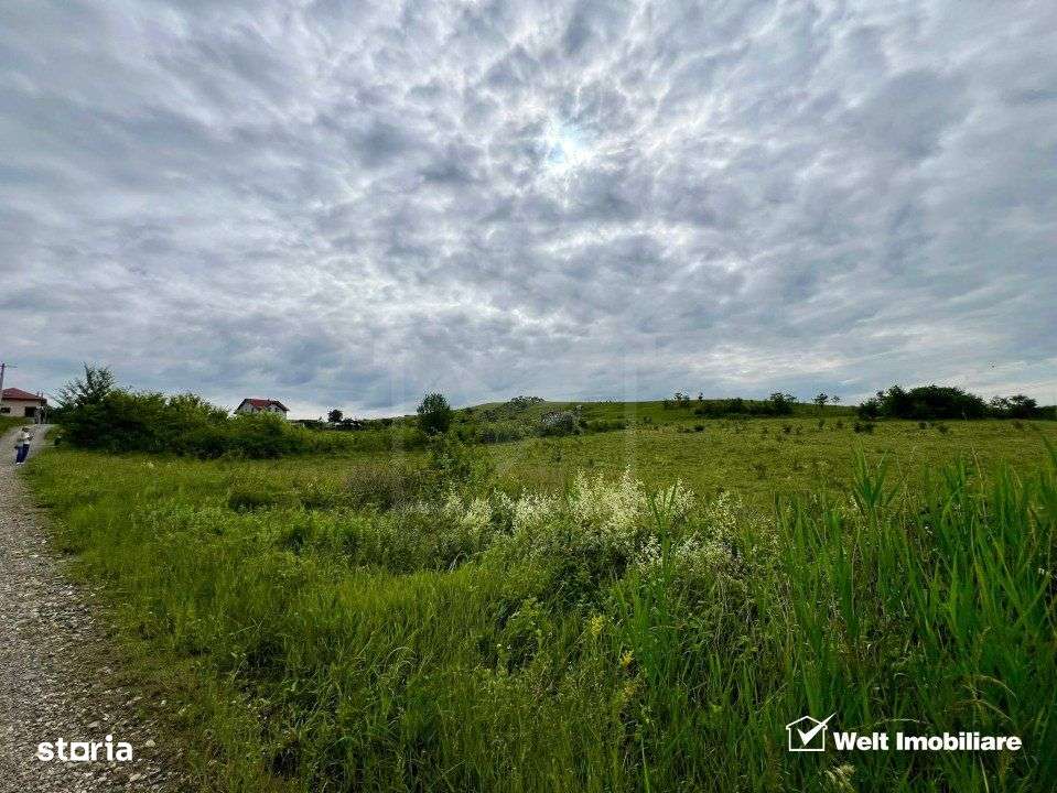 Oportunitate investitie, Bdul Muncii, 17.265 MP/Utr - TDA - Imagine principală: 2/12