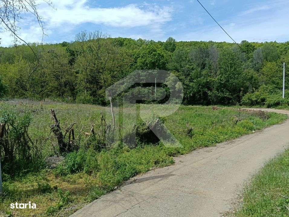 intravilan Tiparesti, relaxare aproape de padure - Imagine principală: 4/8