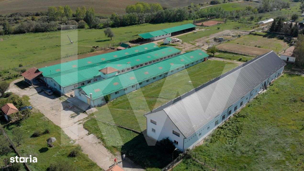 Ansamblu industrial cu hale functionale si teren – Rahau-Sebes - Imagine principală: 3/19