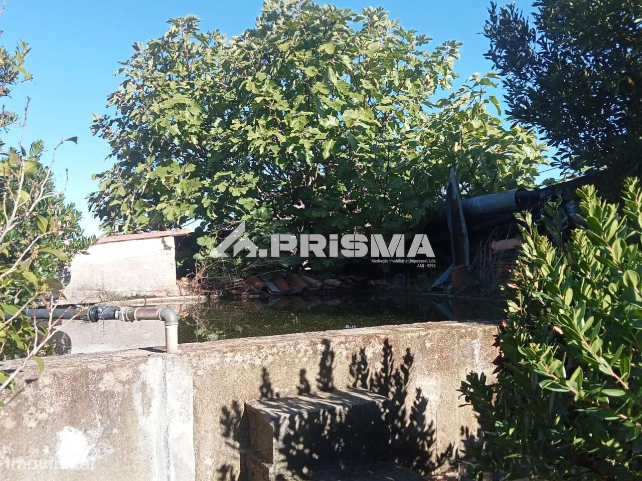 Quintinha para venda com construção rural para venda em Escalos de Bai-32