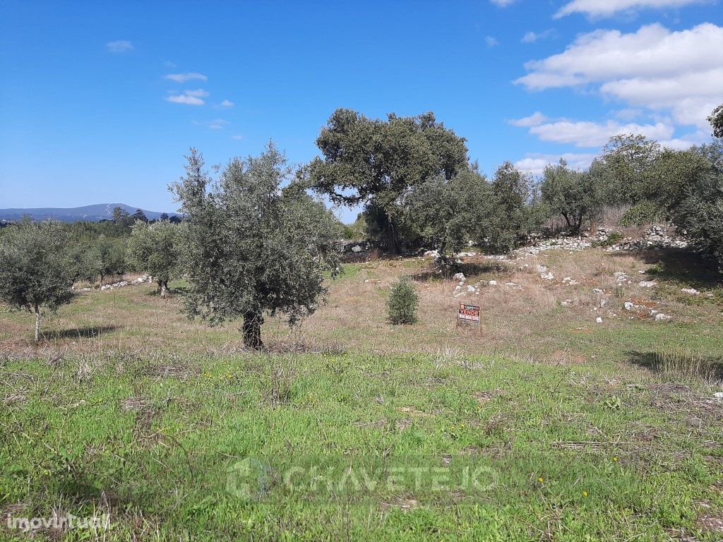 Terreno para construção entre Alvaiázere e Ansião