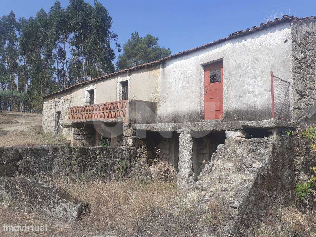 Quinta com 2,5 hectares - Grande imagem: 4/48