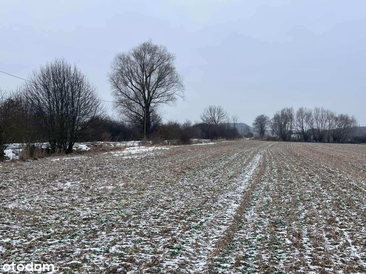 Ładna blisko Koszalina do morza (4km Mielno) las, jezioro, media. Raty-5