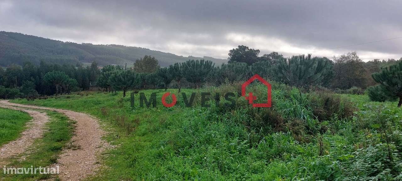 Ruína e terreno - Grande imagem: 4/4