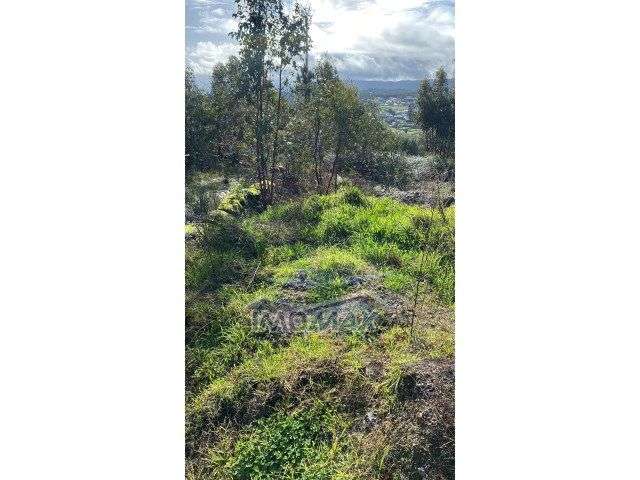 Terreno Construção - Perozelo, Penafiel - Grande imagem: 3/4