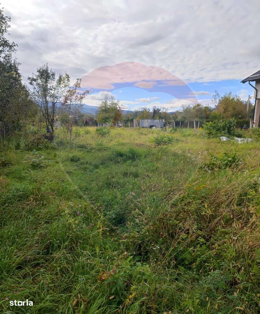 Teren 1,642mp Sighetu Marmatiei / Strada Pescarilor - Imagine principală: 5/5