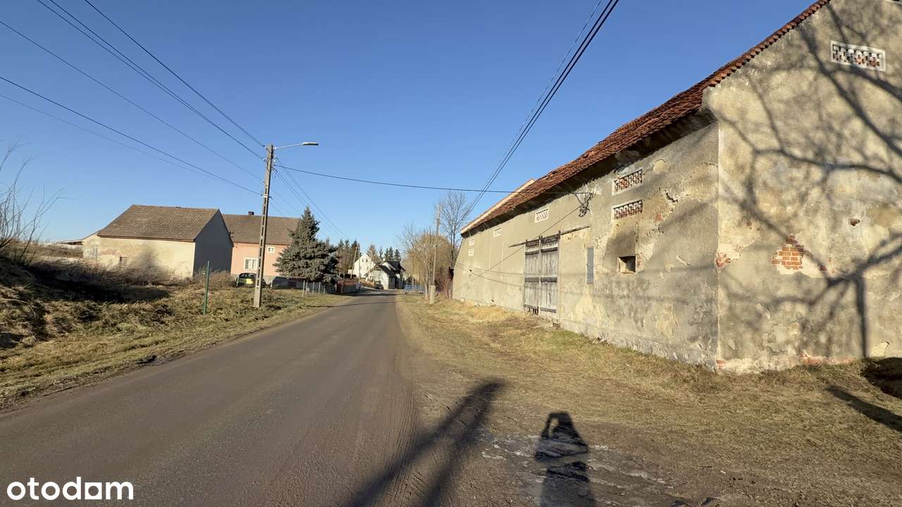 Sosnowa ,Dom wolnostojący + Gospodarstwo-4