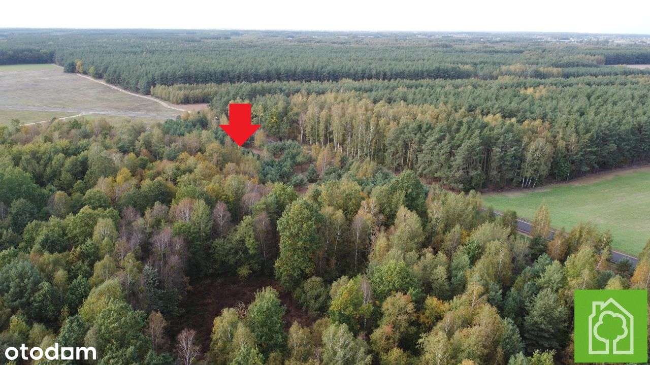 Działka, 1 008 m², Skudzawy-8