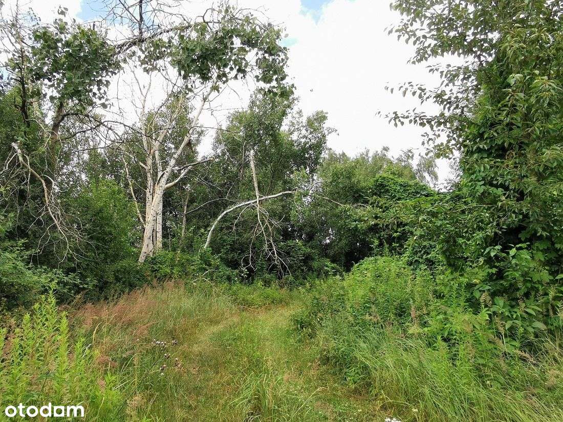 Nieruchomość 1,9 ha, pod zabudowę prod.-usł. - Pełny obrazek: 5/20