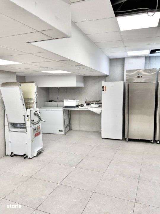 De Inchiriat Spatiu Productie, Depozitare - Piata Victoriei - Imagine principală: 3/10