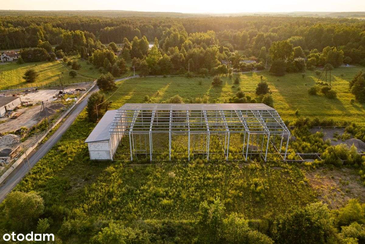 Działka przemysłowa 16 451 m2 z halą w budowie. - Pełny obrazek: 4/14