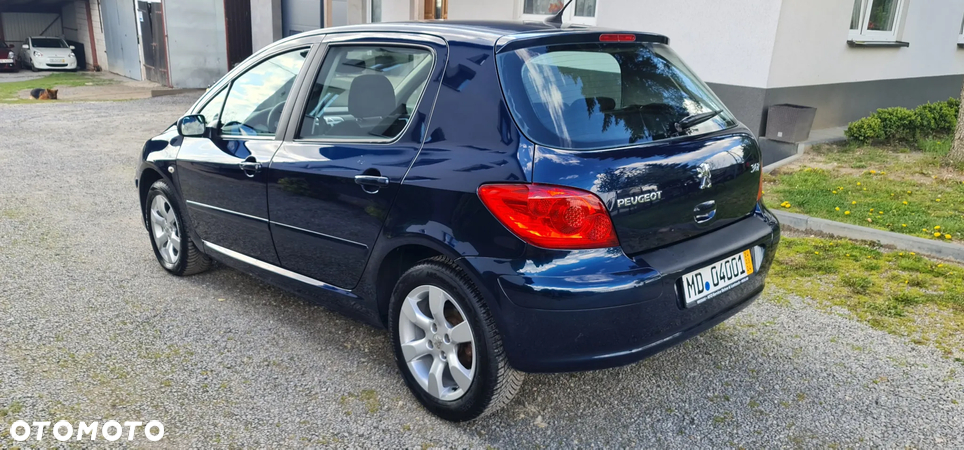 Peugeot 307 - 5