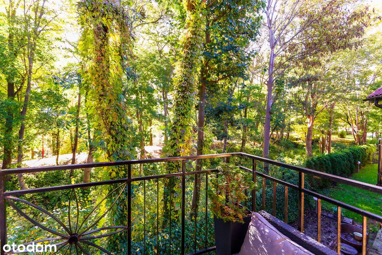 Twoja Prywatna Enklawa przy Parku Dolinka.-15