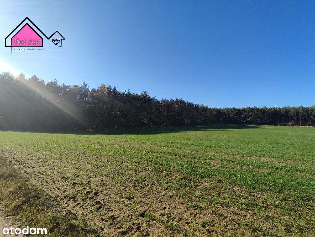 Działki budowlane otoczone lasem, 2km od jeziora