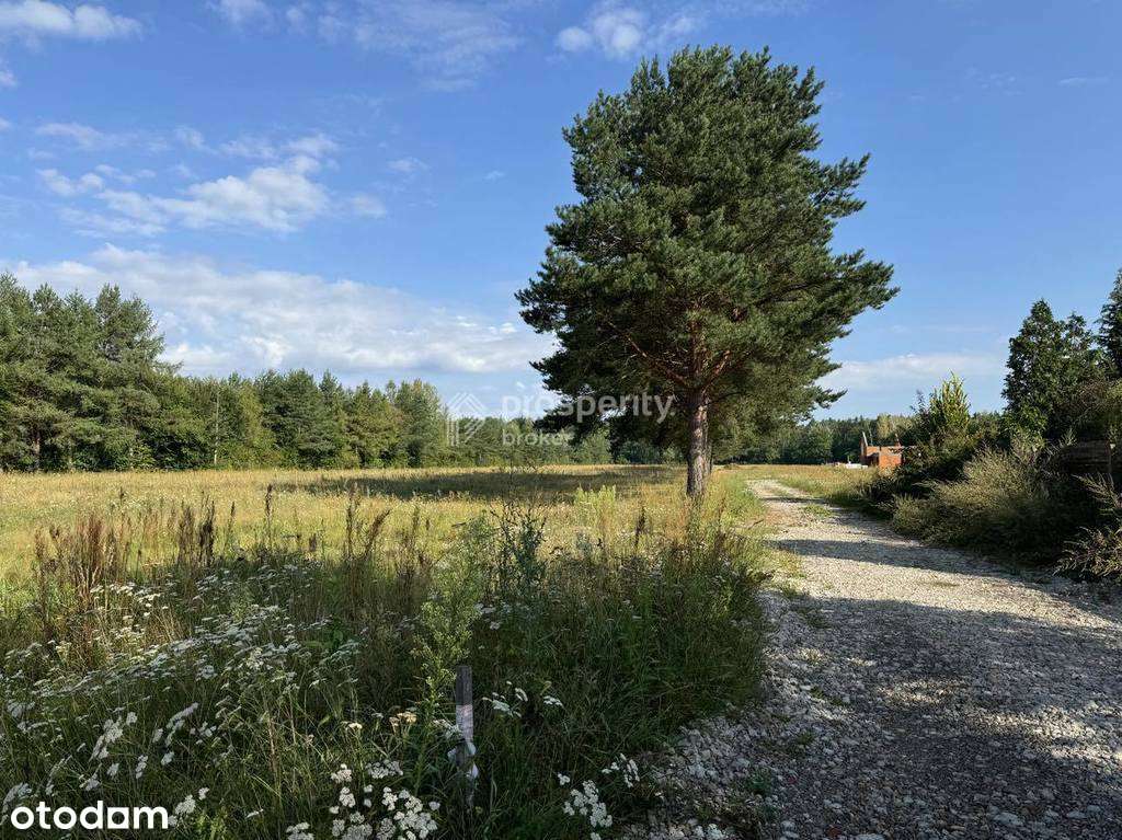 Działka Rolna pod Budowę Domu-Siedliska w Piskórce - Pełny obrazek: 4/4