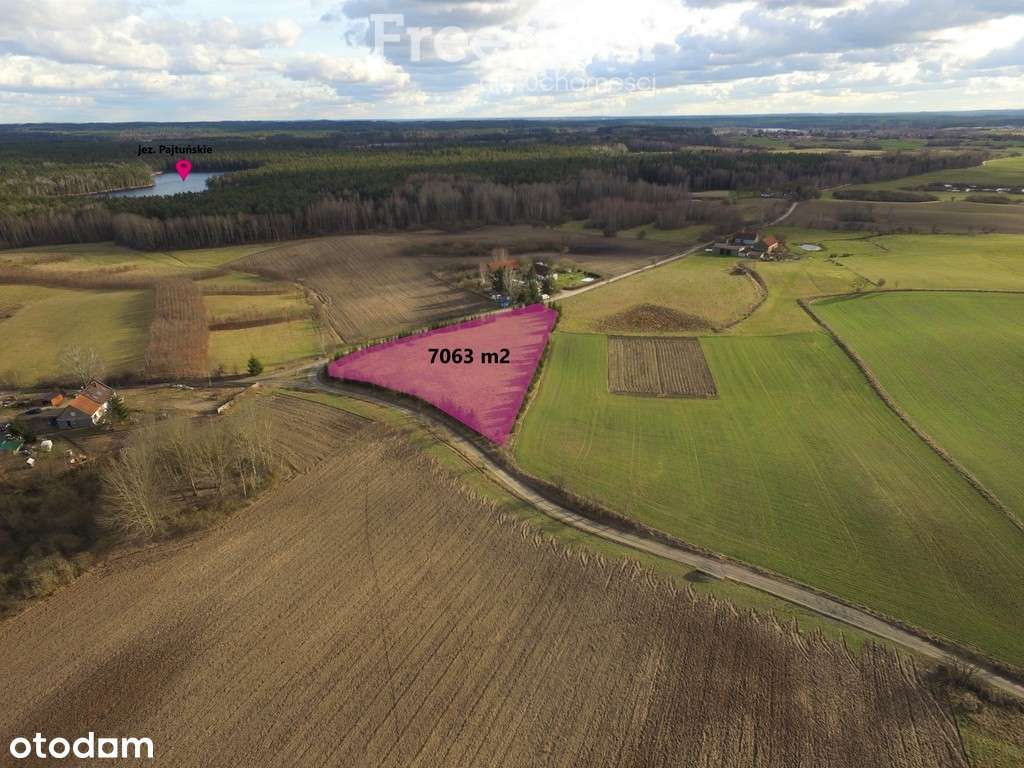 Działka na sprzedaż 20min od Olsztyna - Pełny obrazek: 2/7