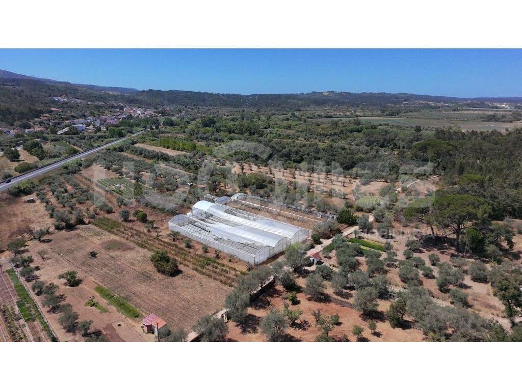 Terreno Agrícola com Estufas Preparadas para Produção em Hidroponia...-23