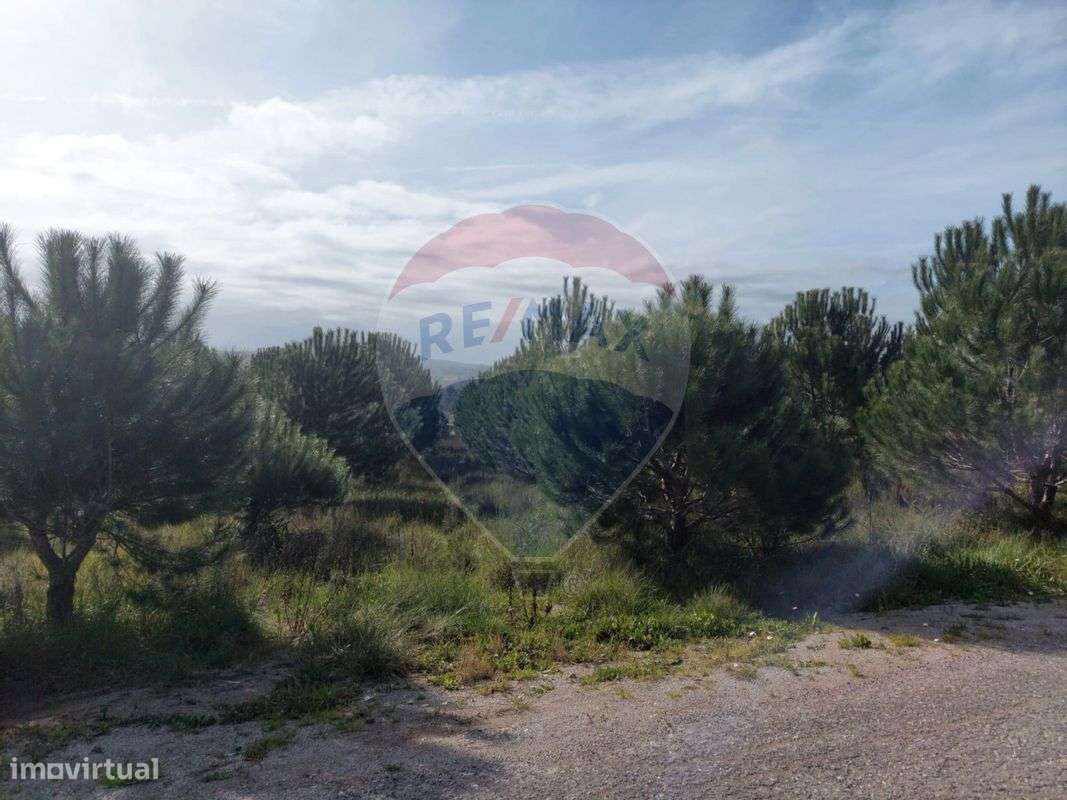 Terreno  para venda - Grande imagem: 5/12