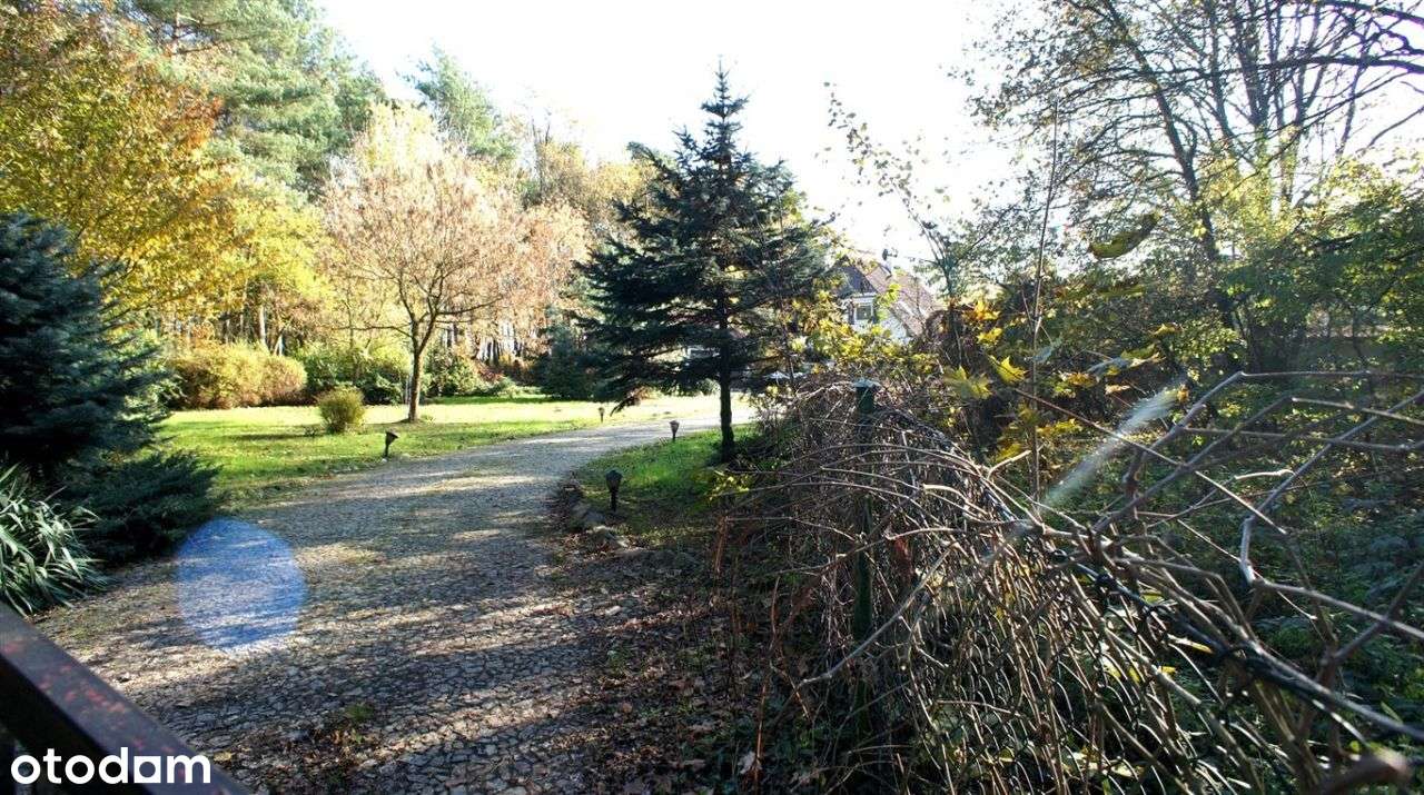 Piękny dom w lesie.., Dabcze-8