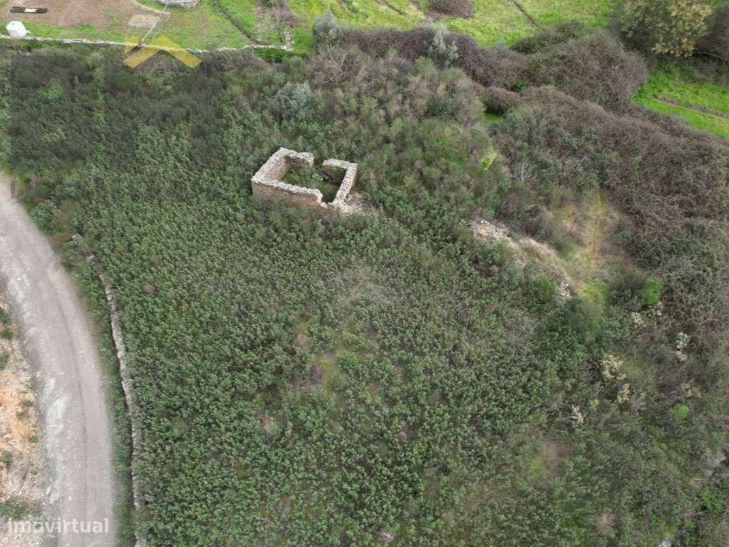 Quinta com 17.200m2 para venda em Juncal do Campo! - Grande imagem: 4/9