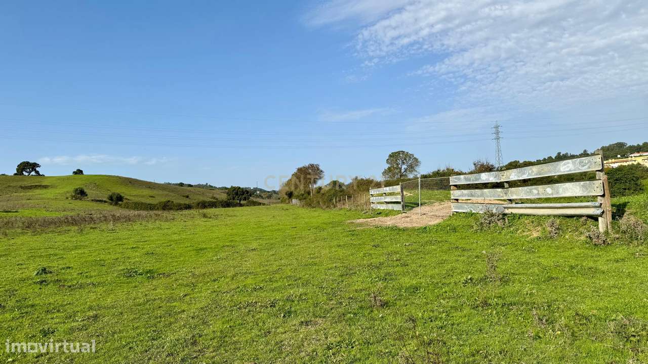Terreno Rústico na Azambuja. Em Venda! - Grande imagem: 4/7