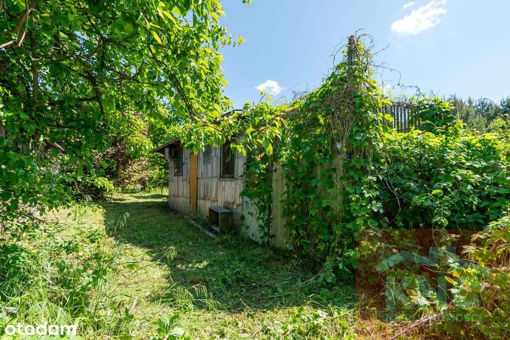 Dom w cenie kawalerki, działka 1943 m2-14