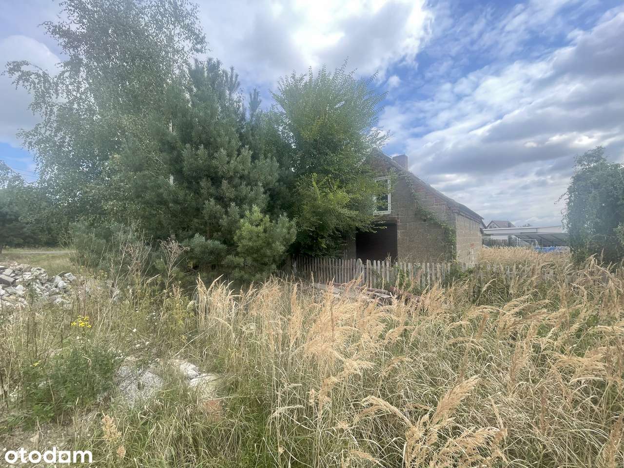 Okazja Działka z budynkiem gospodarczym – Straszków, gm. Kościelec - Pełny obrazek: 5/6