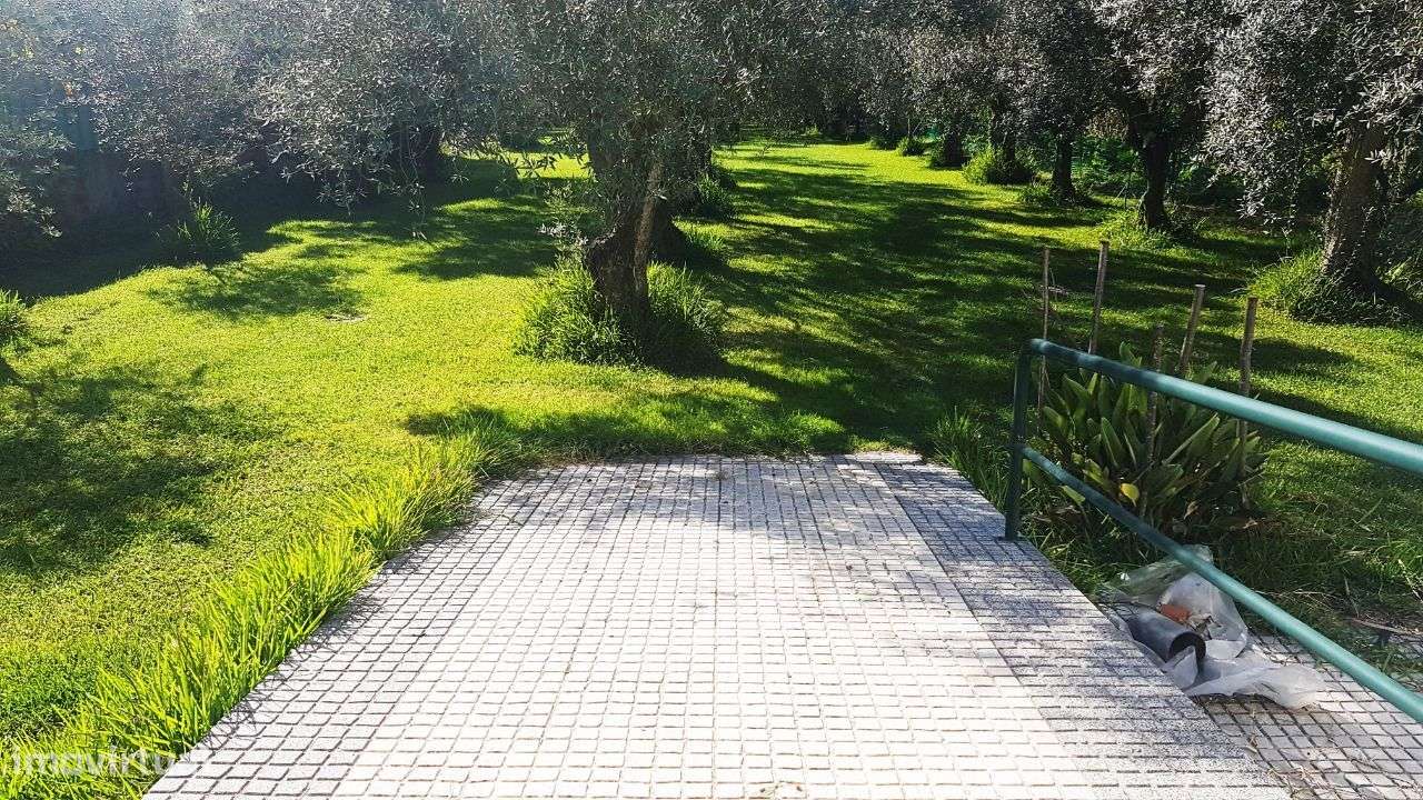 Moradia T5 perto de Coimbra-31