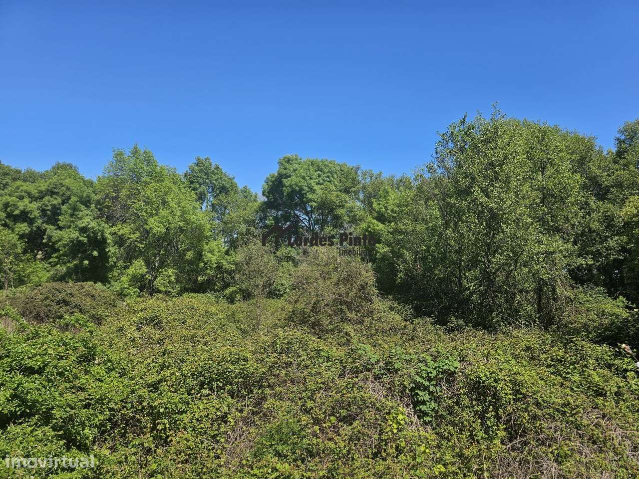 Quinta com construção em pedra perto do rio-11