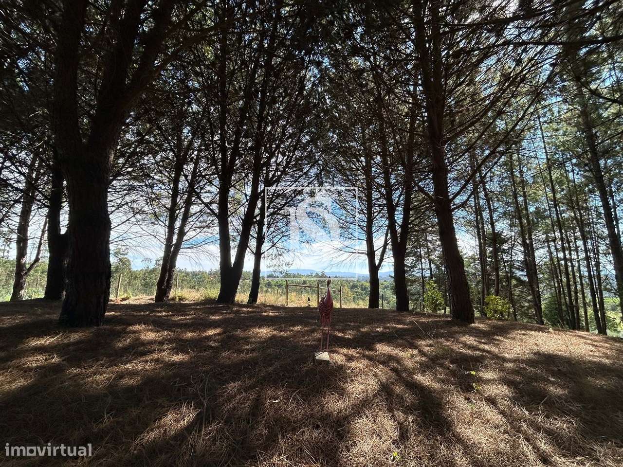 Quinta com 16500m2-51