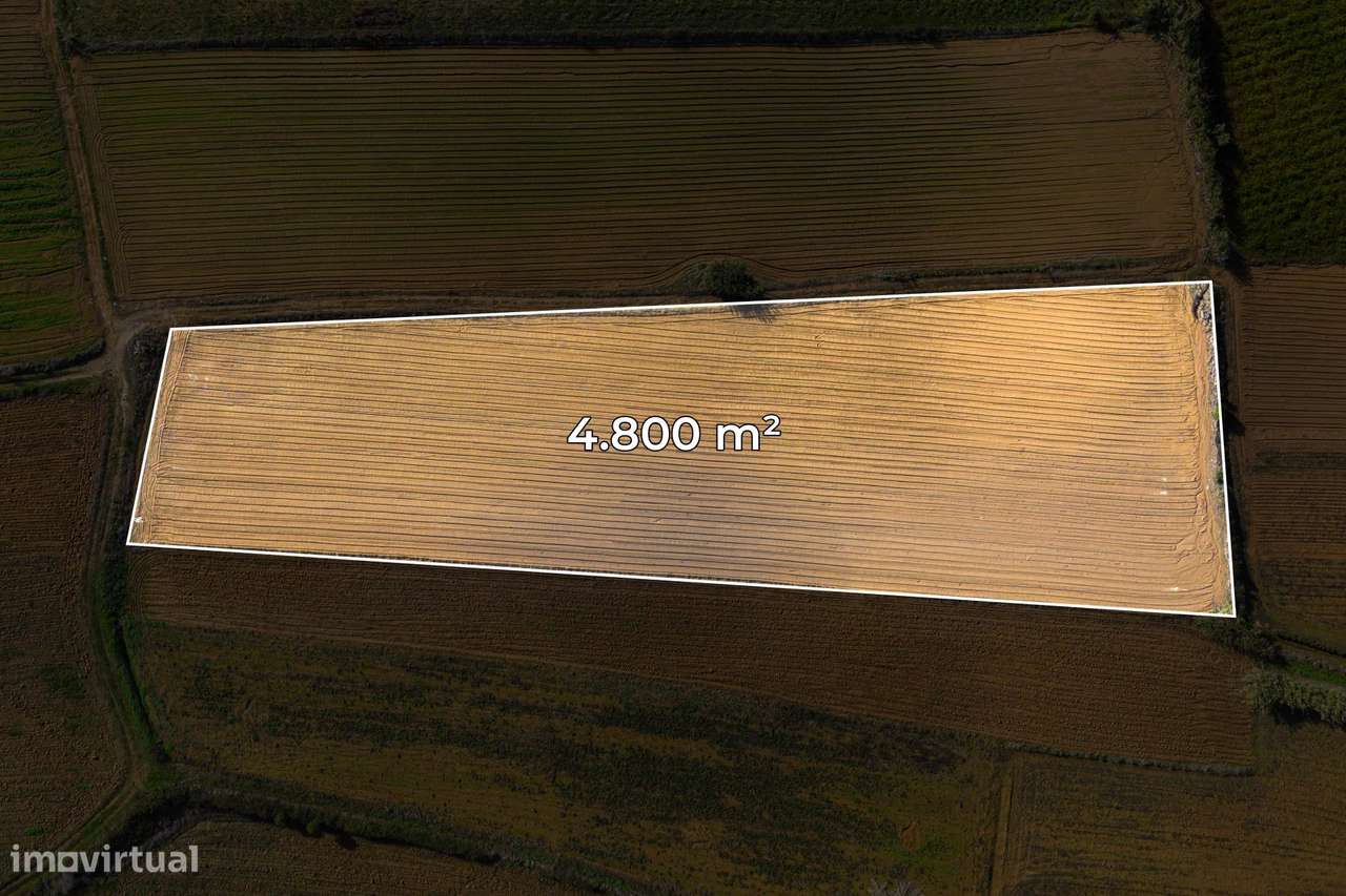 Terreno com bom potencial - Grande imagem: 4/10