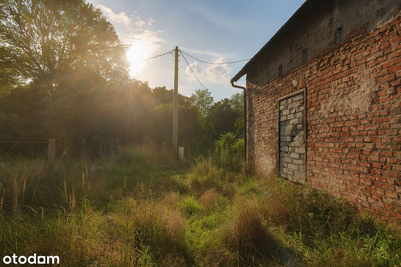 Twój azyl pod lasem – UNIKALNA działka z potencjałem w Wierzonce-9
