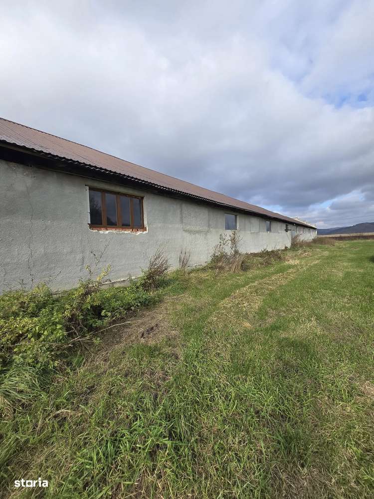 Teren Extravilan + o constructie  de Vânzare – Șeica Mică-1