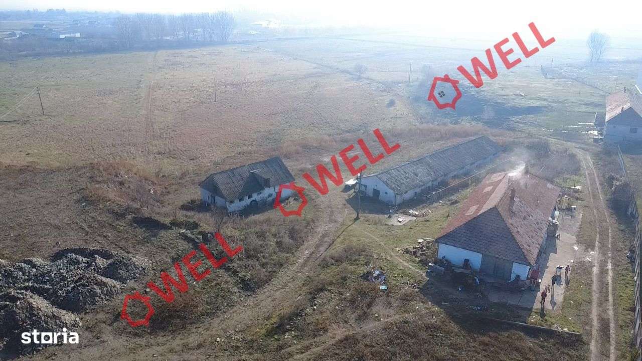 Teren extravilan de vânzare în Târgu Secuiesc! - Imagine principală: 5/6