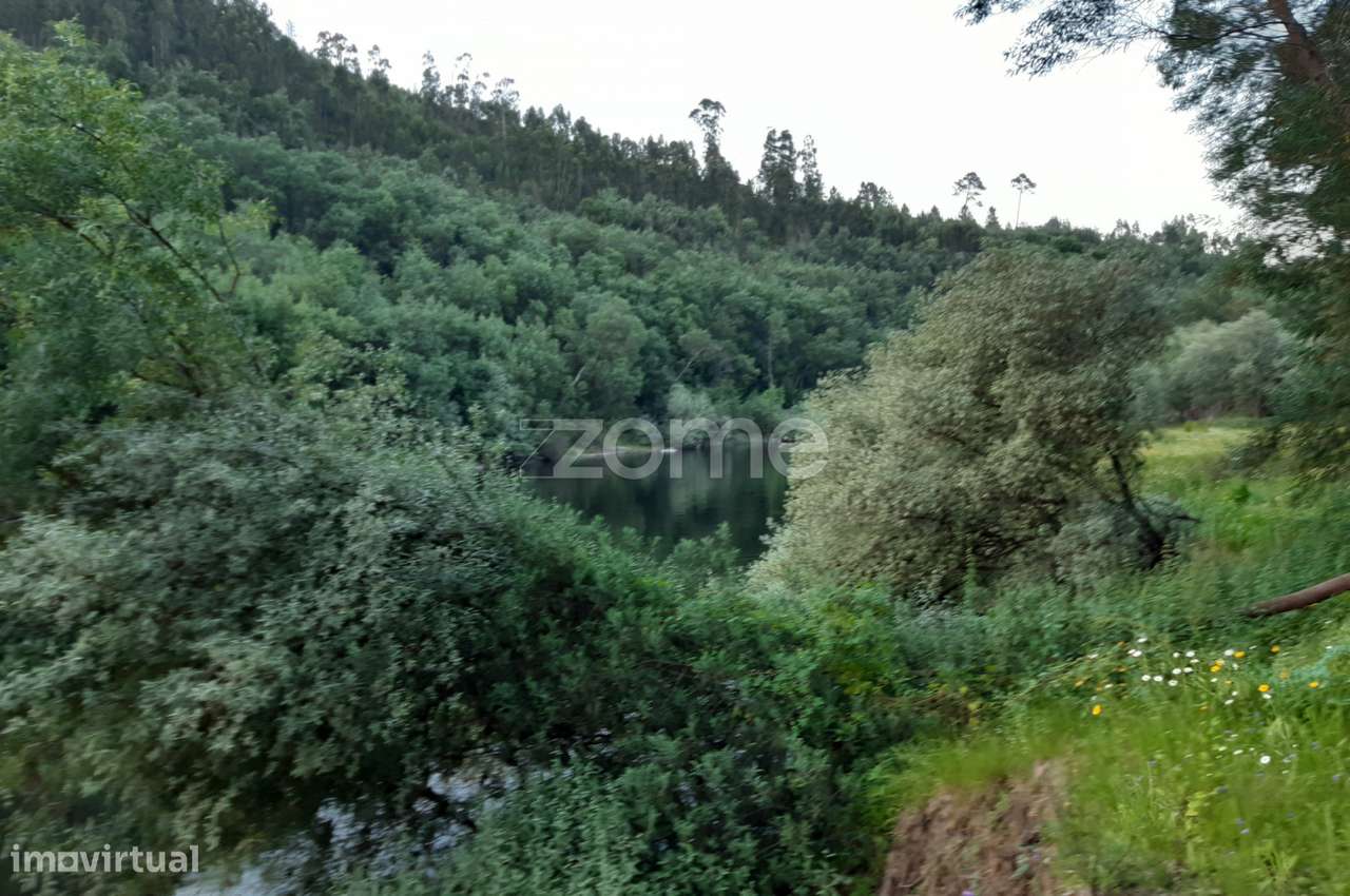 Quinta Junto ao rio Mondego - Grande imagem: 4/21