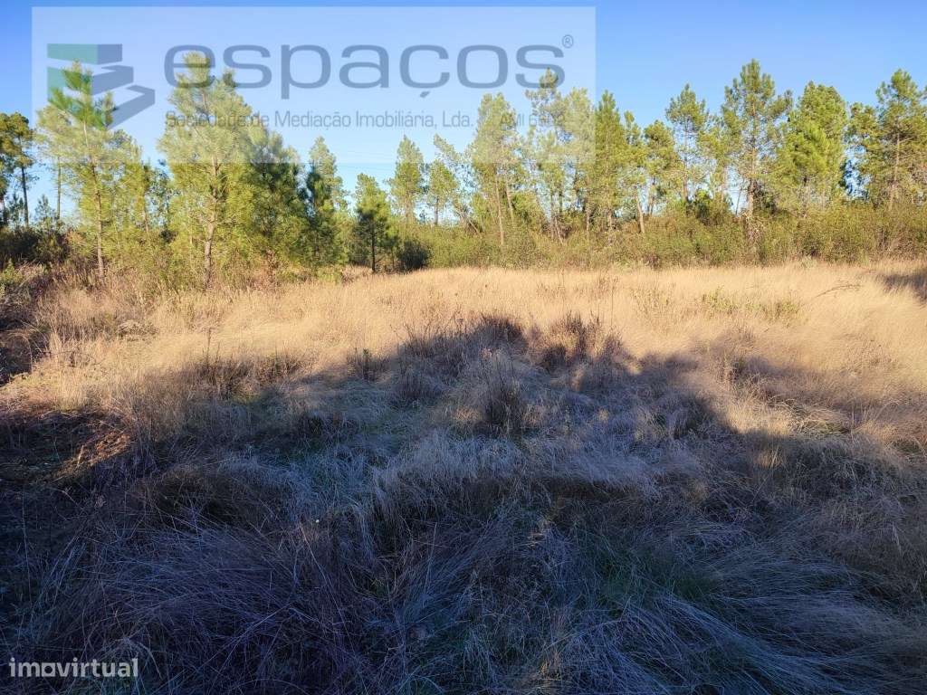 Terrenos agrícolas - Grande imagem: 4/10