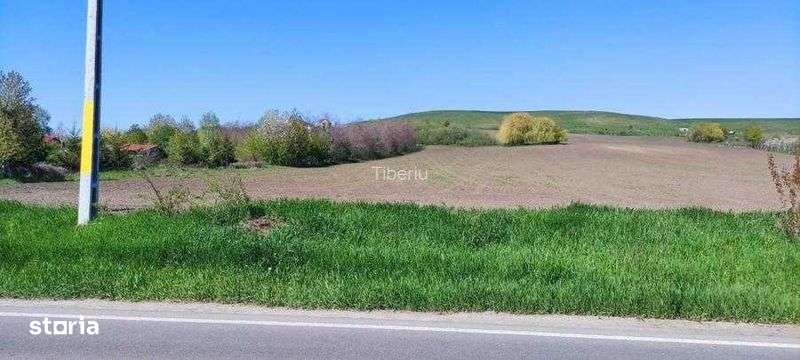 Vând 15000 mp teren - Imagine principală: 5/7