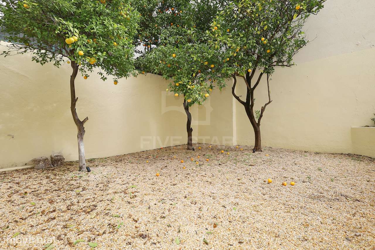 T1+1 - Príncipe Real - Renovado - Jardim Privado-32