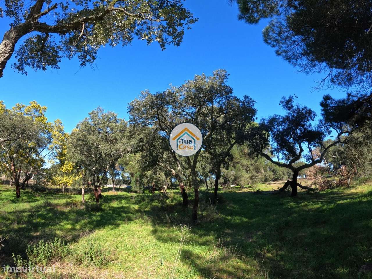 Terreno Rústico de 1,75 ha com Montado de Sobreiros – Oportunidade no - Grande imagem: 5/16