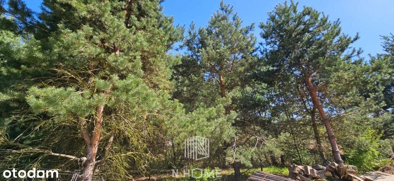działka koło Twardogóry w otoczeniu lasów - Pełny obrazek: 4/9