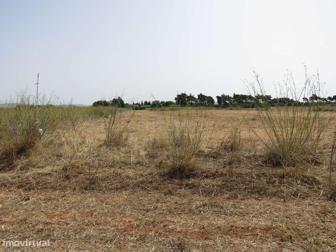 Terreno Rústico - Grande imagem: 2/12
