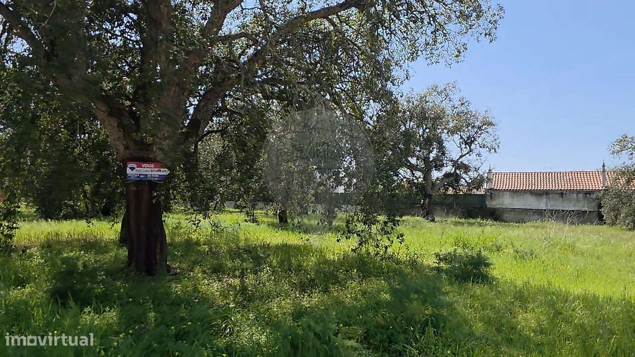 Terreno  para venda-26